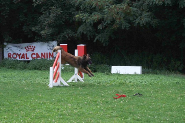 agility 2011-09